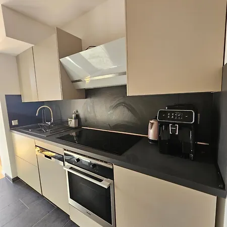 Apartment Ueber Den Daechern Leipzigs - Hochwertiges Mit Dachterrasse Im Zentrum Leipzigs Leipzig